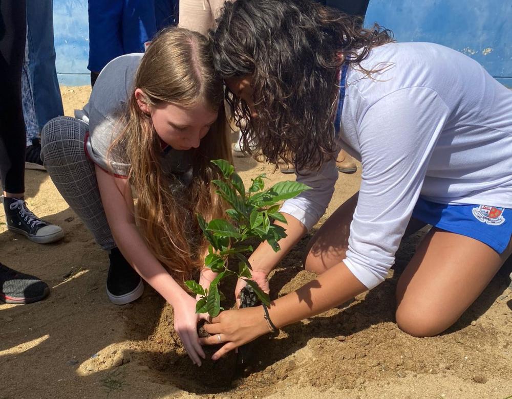 Vereadores mirins de Penha fazem plantio de árvores