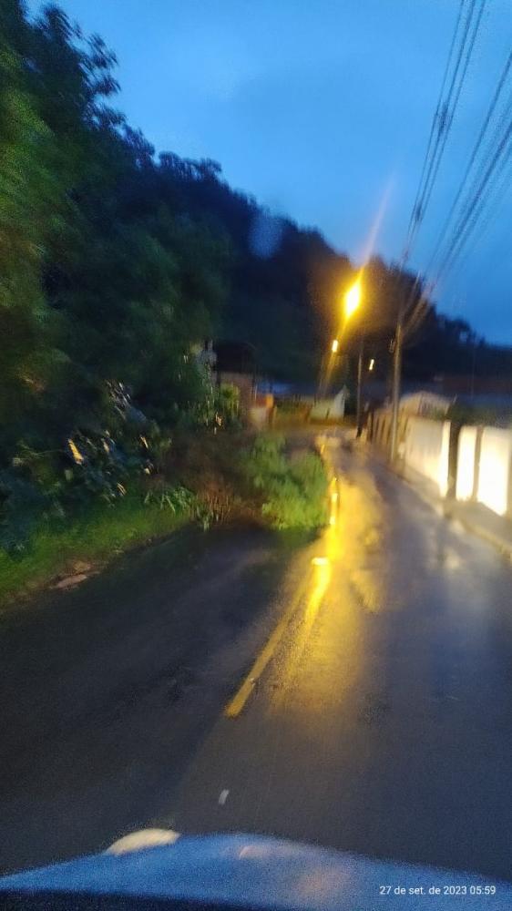 Madrugada de chuva forte com granizo derruba árvore em Blumenau