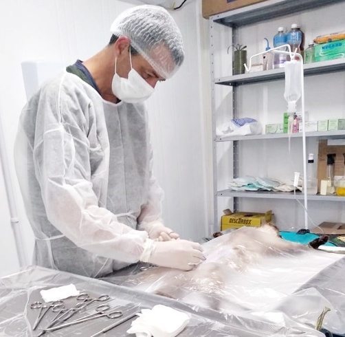 Penha: Programa Bem Estar Animal, de castrações de animais, volta ao atendimento normal