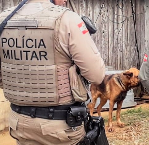Penha - Homem é preso por maus-tratos a animal no bairro Santa Lídia 