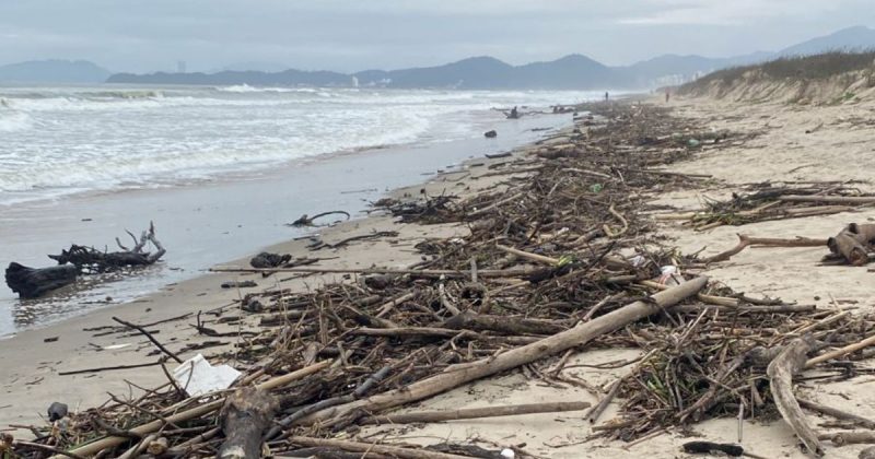 Praias do Litoral Norte Catarinense viraram lixões após vazão de rios da região