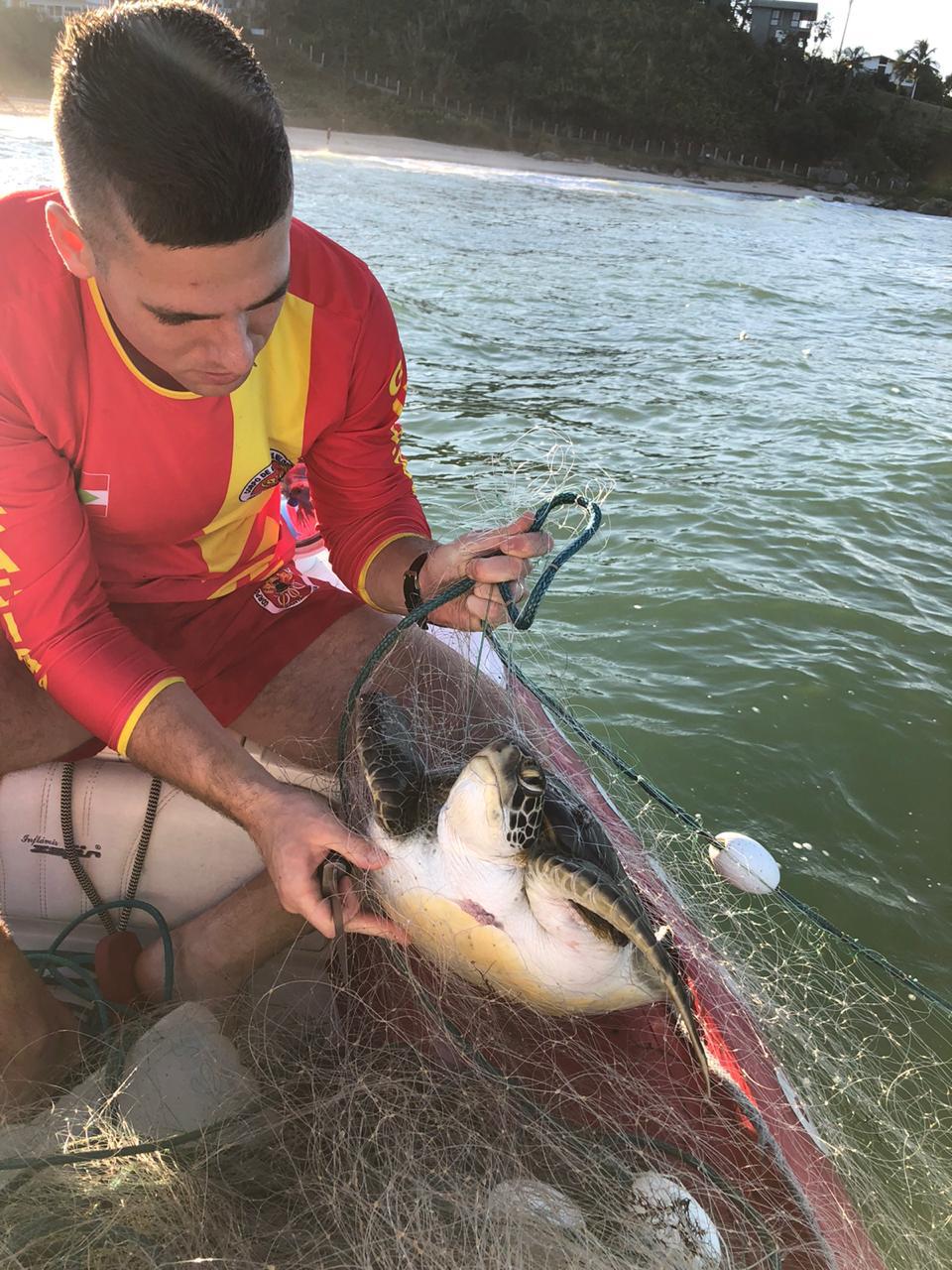 Barra Velha: Tartarugas presas em redes de pesca são resgatadas pelos Bombeiros na praia do Grant