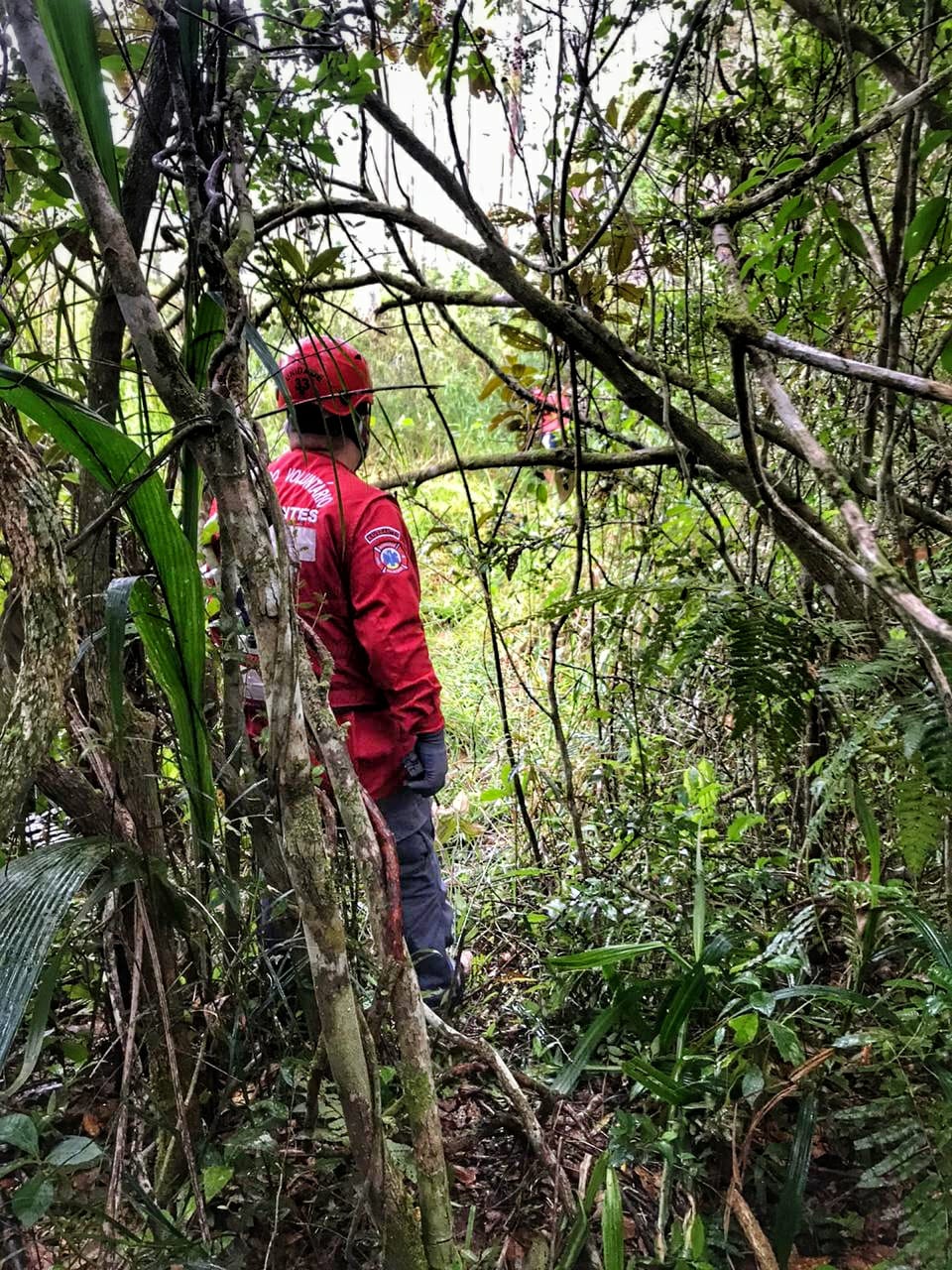 Navegantes: Seis pessoas são atacadas por enxame de abelhas no bairro Escalvados