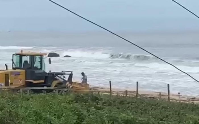 Trator da prefeitura de Barra Velha é flagrado destruindo restinga em área de APP de Itajuba