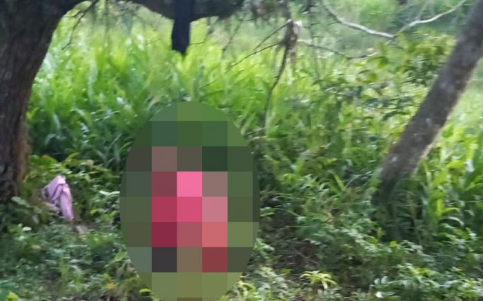 Mulher é achada morta em matagal no bairro São Judas em Balneário Camboriú
