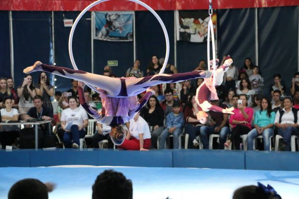 Circo Escola do Instituto Beto Carrero é contemplado com Prêmio Elisabete Anderle de Estímulo à Cultura 2019