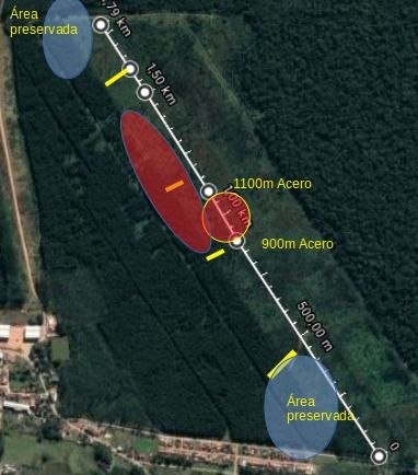 Barra Velha: Força tarefa dos Bombeiros Militar foi acionada para conter o incêndio florestal no bairro Vila Nova