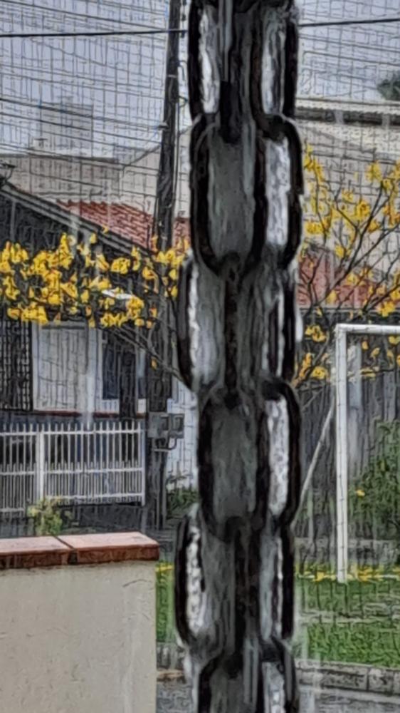 Águas de Penha alerta para o risco de conectar água da chuva à rede de esgoto