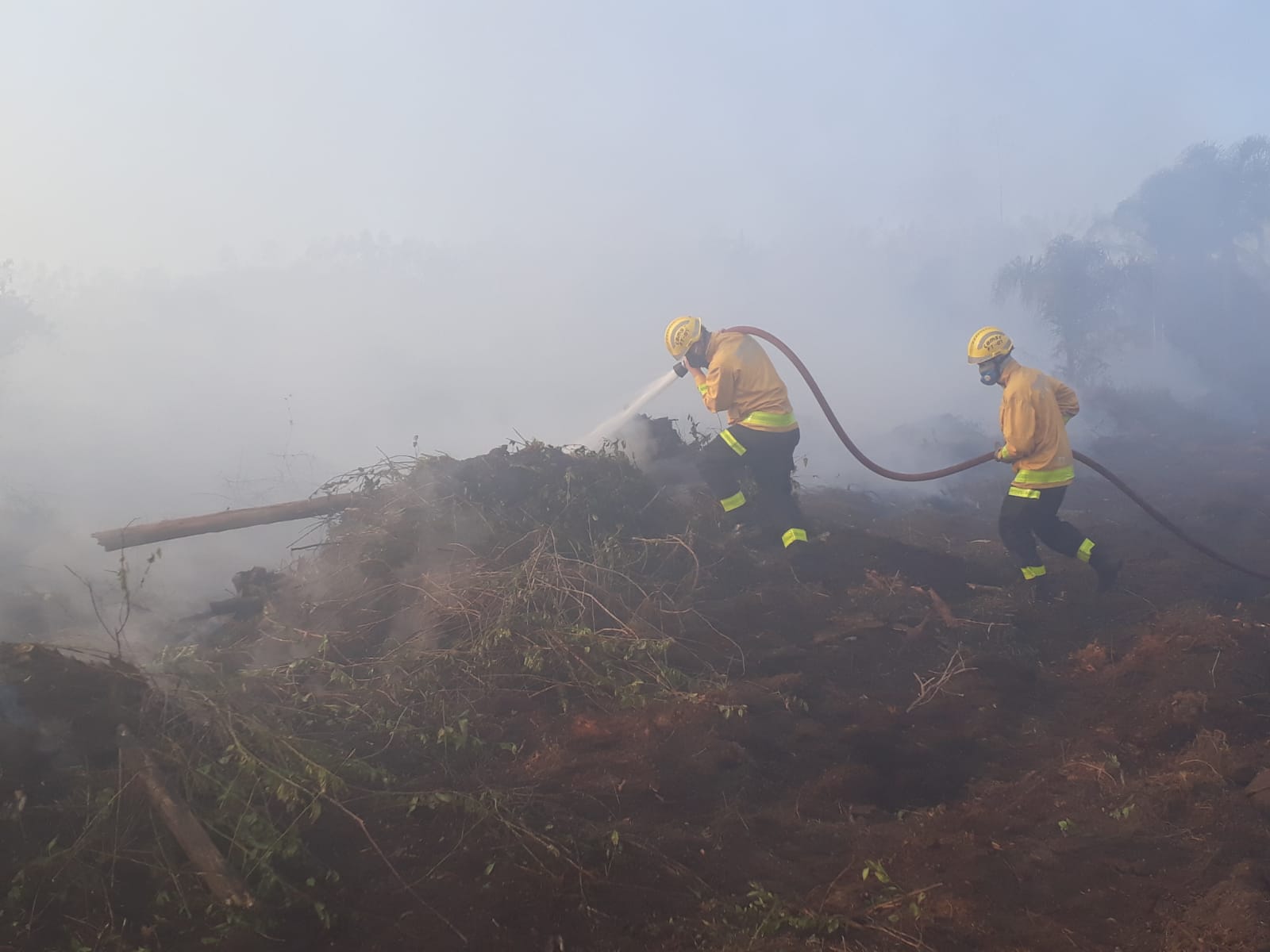 Barra Velha: Força Tarefa dos Bombeiros conseguem controlar os novos focos de incêndio em reflorestamento no bairro Vila Nova