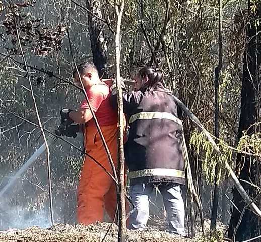 Penha: Incêndio destrói cerca de três mil metros quadrados de vegetação na Praia Grande