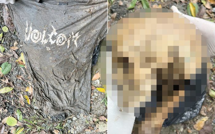 Crânio é encontrado perto de praia de Laranjeiras em Balneário Camboriú