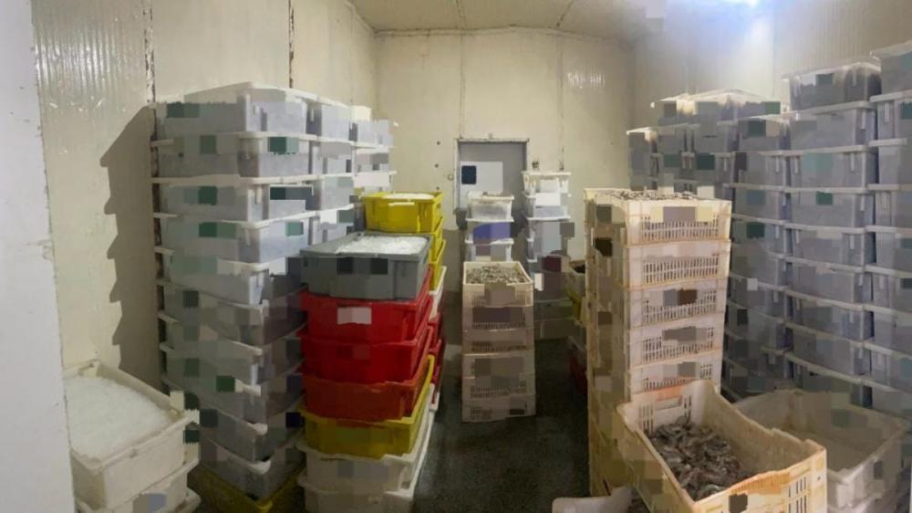 Mais de 2 toneladas de camarão são apreendidas em depósito de Penha