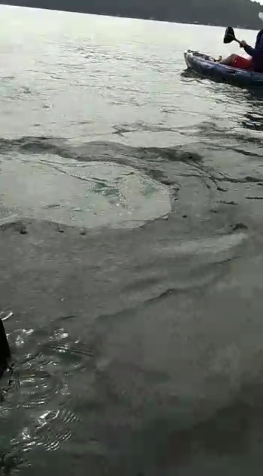 Balneário Camboriú: Mancha de óleo é encontrada por pescadores entre a praia de Laranjeiras e a Barra Sul