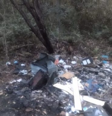 Navegantes: Corpo de homem é encontrado no meio da mata no bairro Meia Praia