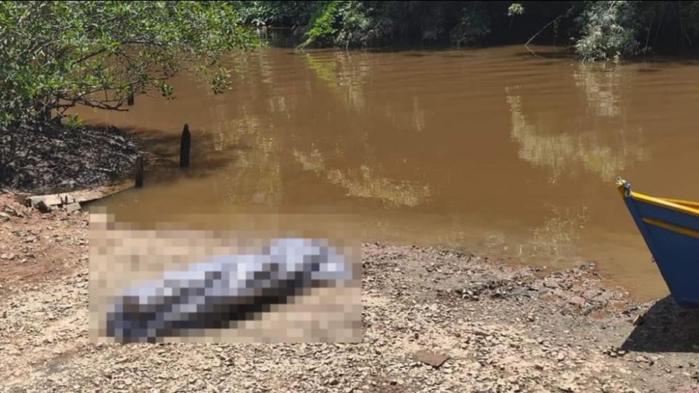 Balneário Piçarras – Corpo de homem não identificado é encontrado no rio Piçarras 
