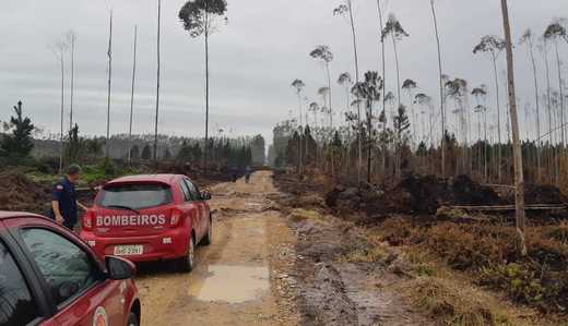 Barra Velha: Chuva inibe novos focos de fogo no incêndio florestal no bairro Vila Nova