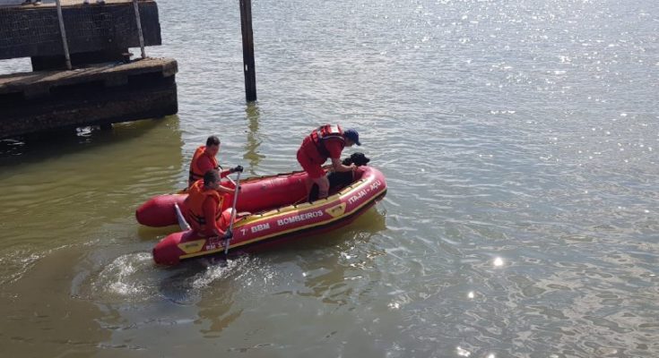Itajaí - Corpo de homem é encontrado boiando no rio Itajaí-Açú