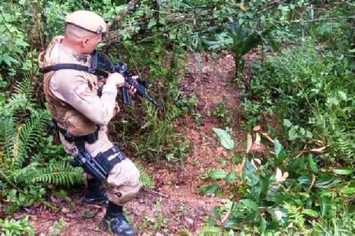 Jovem de 19 anos é encontrado morto em matagal no Matadouro em Itajaí
