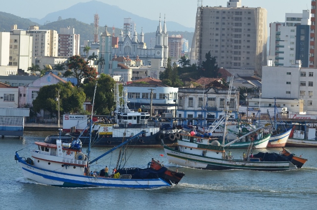 Portaria estabelece cotas para a safra da tainha 2024