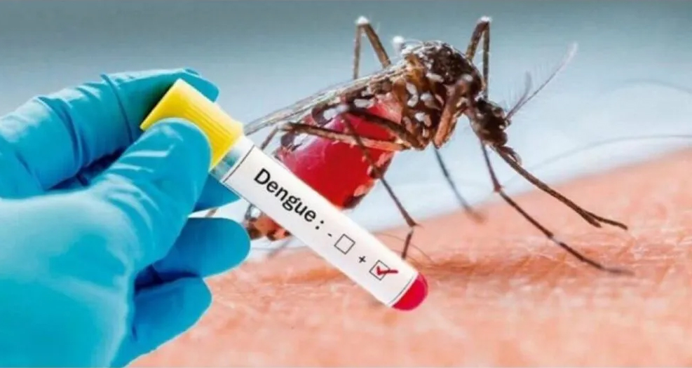 Balneário Piçarras confirma primeira morte por dengue 