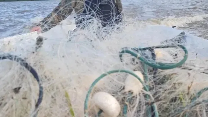 Polícia Militar Ambiental apreende rede de pesca ilegal em Penha 