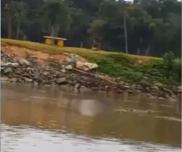 Corpo avistado em rio de Araquari pode ser de pescador desaparecido em Barra Velha