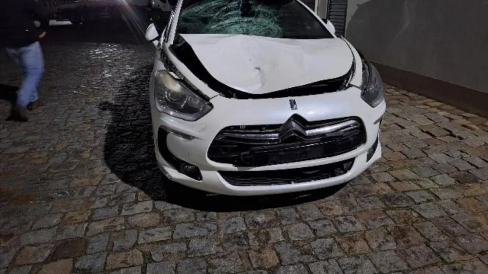 Jovem morre atropelado na Rodovia Antônio Heil em Itajaí 