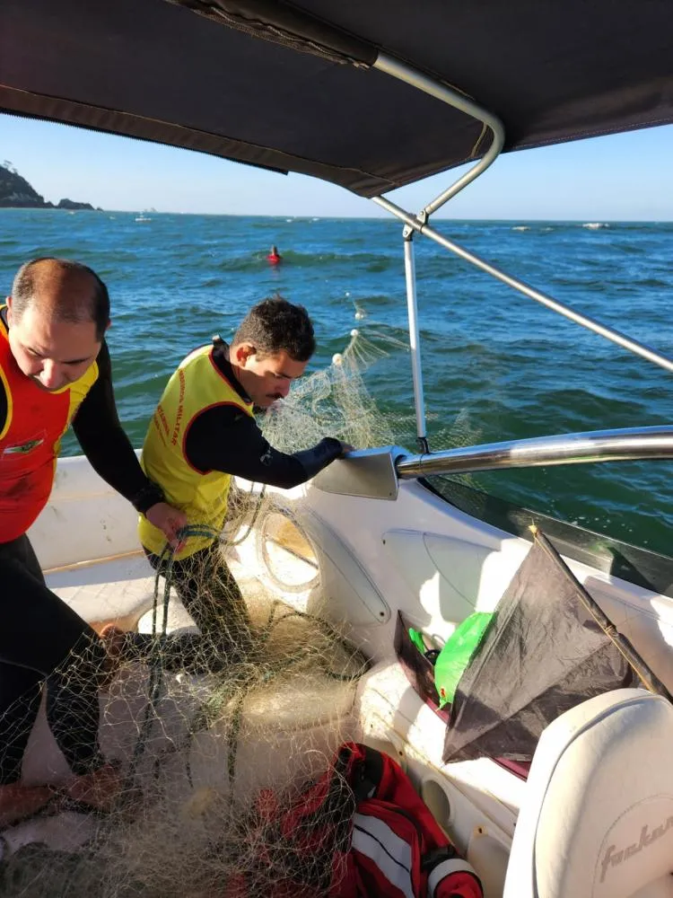 Penha - Bombeiros soltam baleia que ficou presa em rede de pesca próximo da Ilha Feia