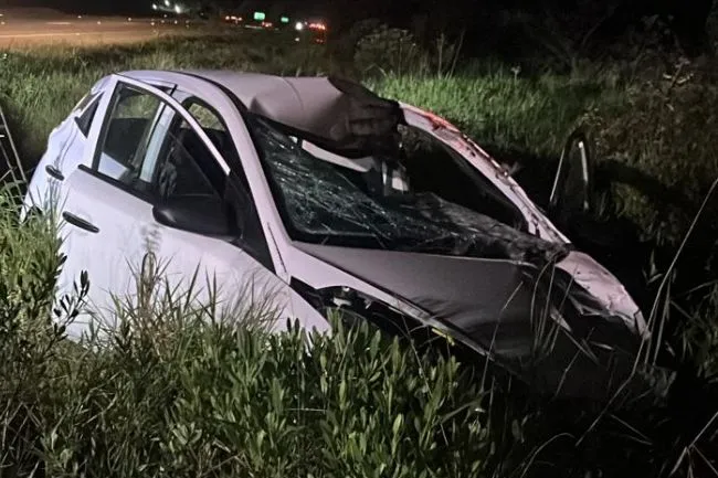 Colisão na BR-470 mata cavalo e potrinho em Ilhota