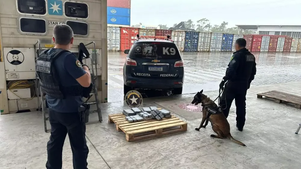 Carga de cocaína é encontrada em contêiner que ia para China no Porto de Itapoá