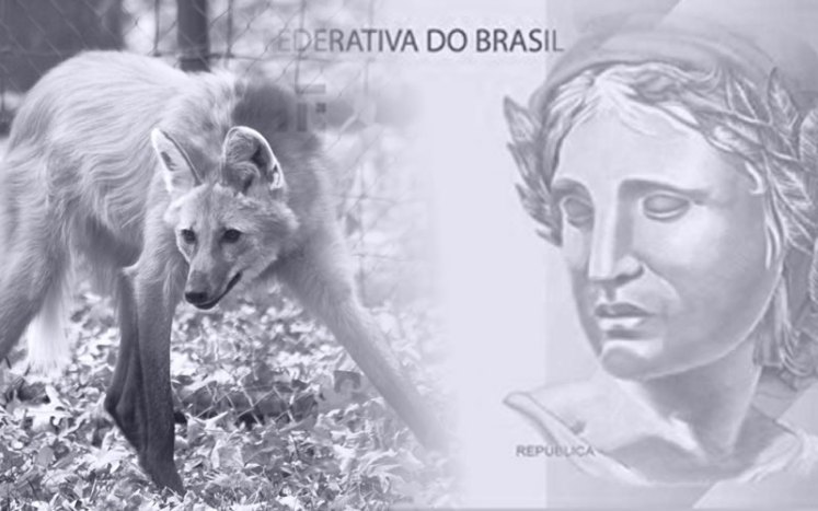 Banco Central lançará cédula de R$ 200 com imagem de lobo-guará em Agosto
