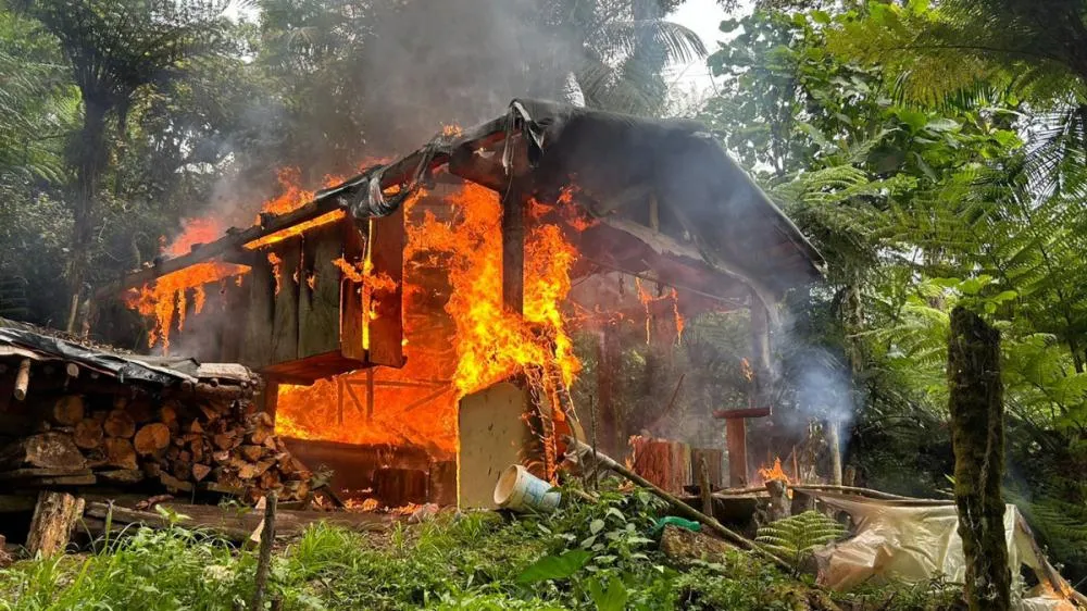 Ranchos de caça viram cinzas ao serem descobertos pela polícia em Blumenau e região