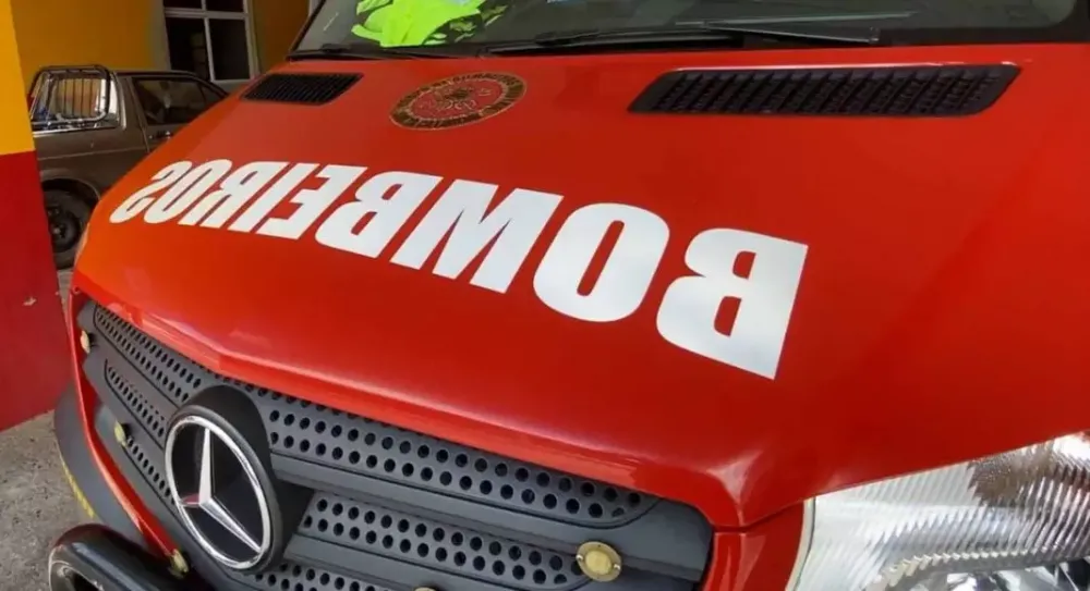 Pediu pra fazer xixi e foi atropelado na BR-470 em Ilhota