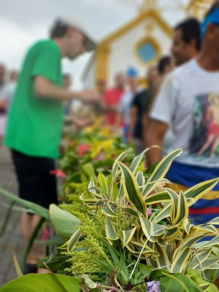 Penha revive a cultura religiosa do Mastro de São Sebastião neste final de semana
