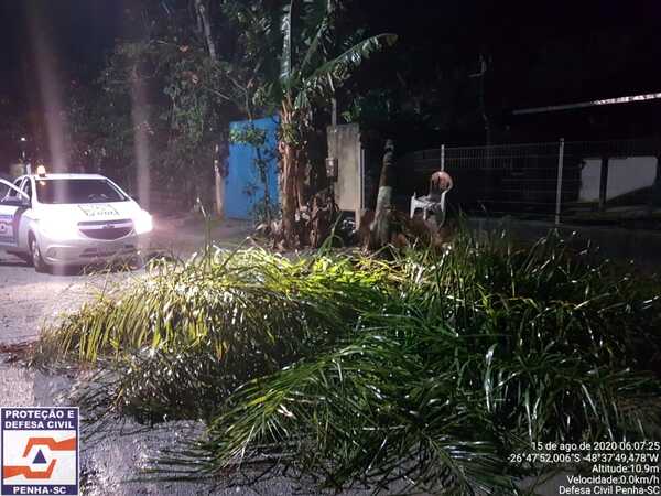Penha: Temporal destelha casas, derruba árvores, causa falta de energia elétrica e faz pelo menos uma vítima fatal