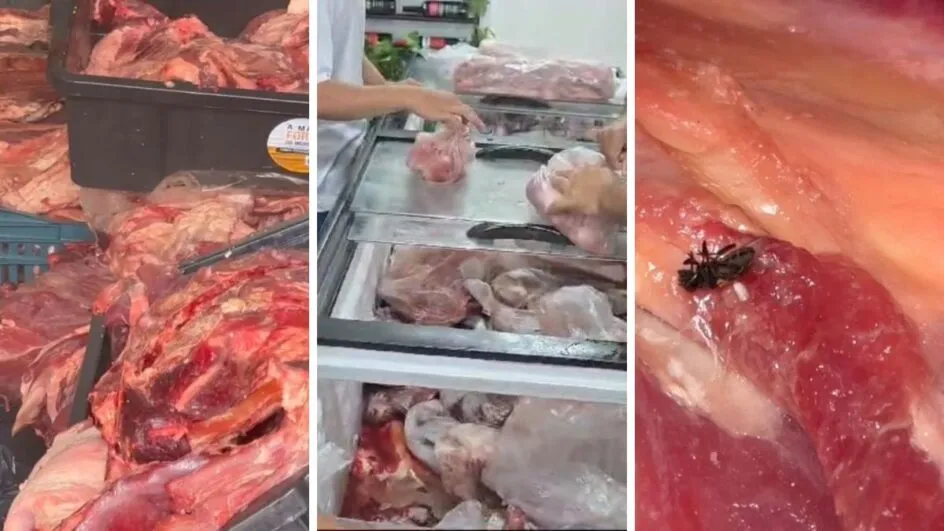 Carne podre e com moscas virava charque e era vendida no comércio de Itajaí
