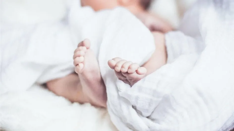 Bebê encontrado em mata em Lontras está em ótimo estado de saúde