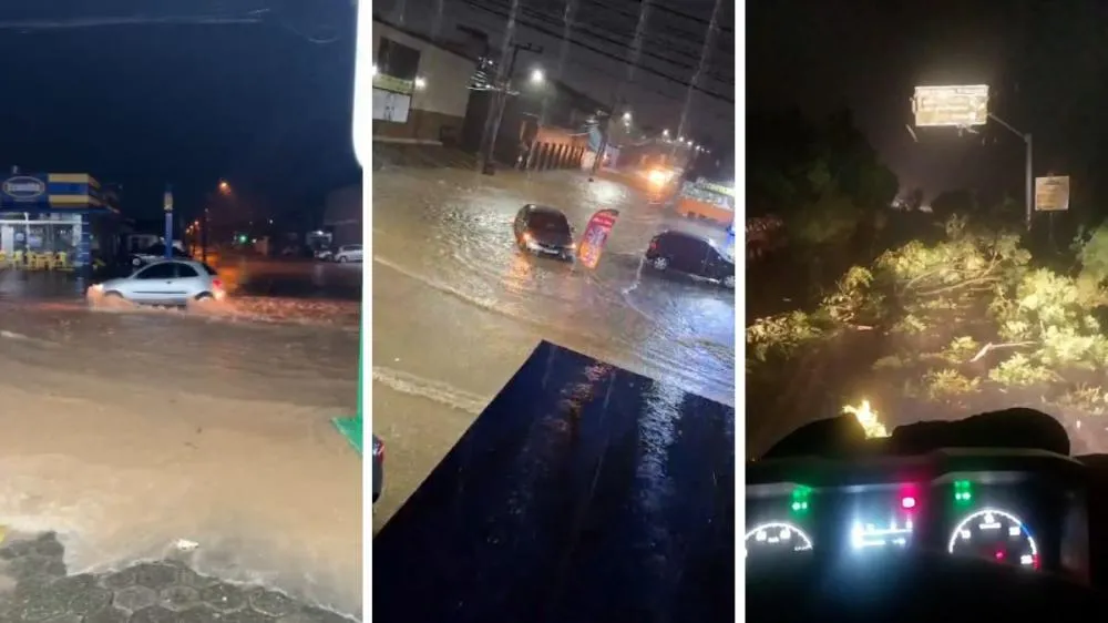 Temporal deixa moradores feridos e desabrigados em Joinville e Araquari