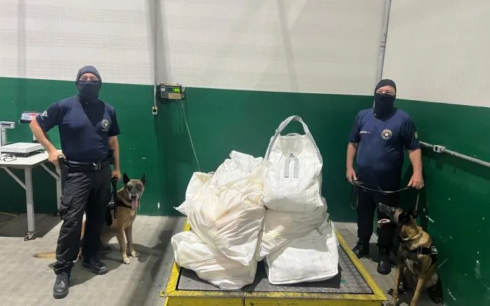 Carga de laranjas escondia meia tonelada de cocaína para Portugal no porto de Itapoá