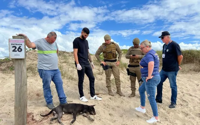 Pitbull foi amarrado a poste e torturado antes de morrer em Navegantes