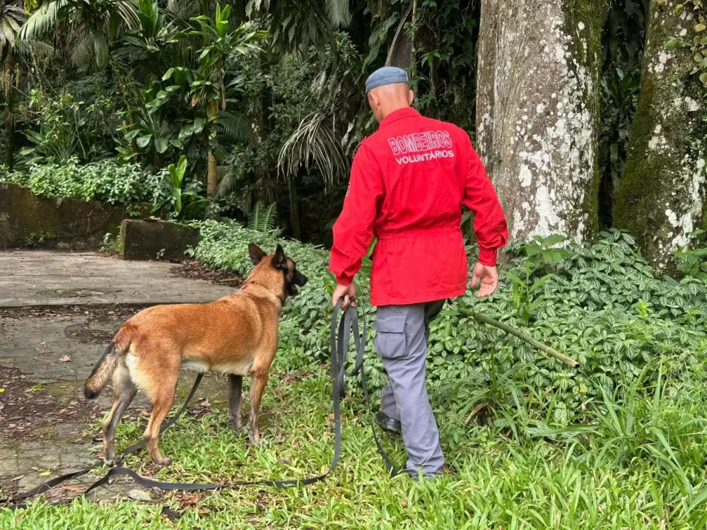 Cão e bombeiros são mobilizados nas buscas por menina e pai desaparecidos em Blumenau