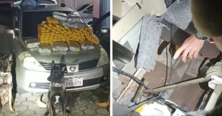 Casal é preso em Corupá com carro do Paraguai e mais de 65 kg de maconha