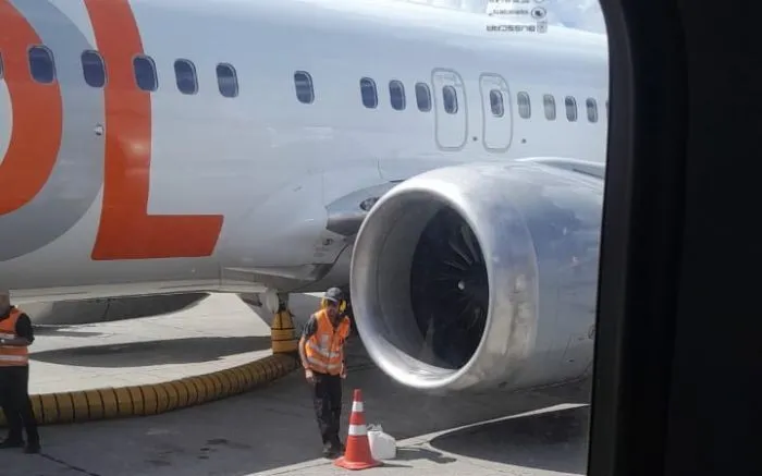 Avião da Gol acerta quero-quero ao decolar em Navegantes