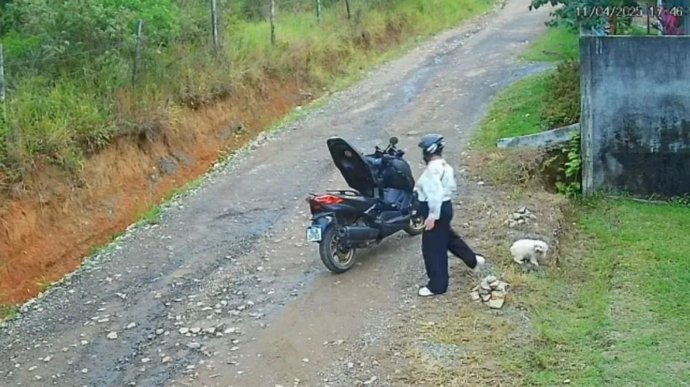 Identificada a mulher que abandonou cãozinho no bairro São Cristóvão em Barra Velha 