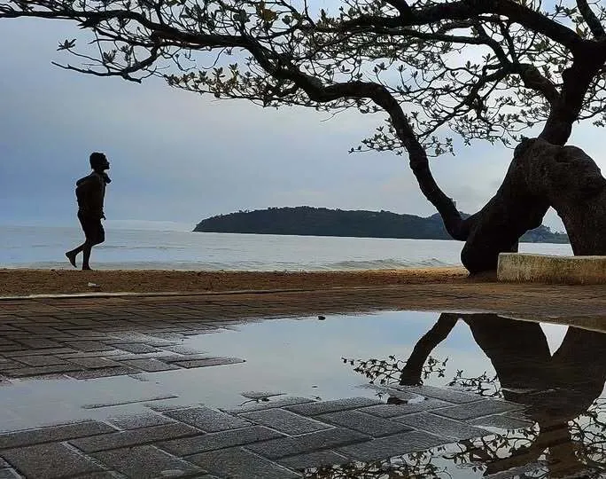 Popular “Biri” é encontrado morto na restinga da praia de Balneário Piçarras