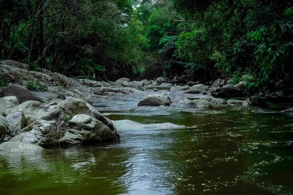 Saneamento, chave para proteger a água que não vemos
