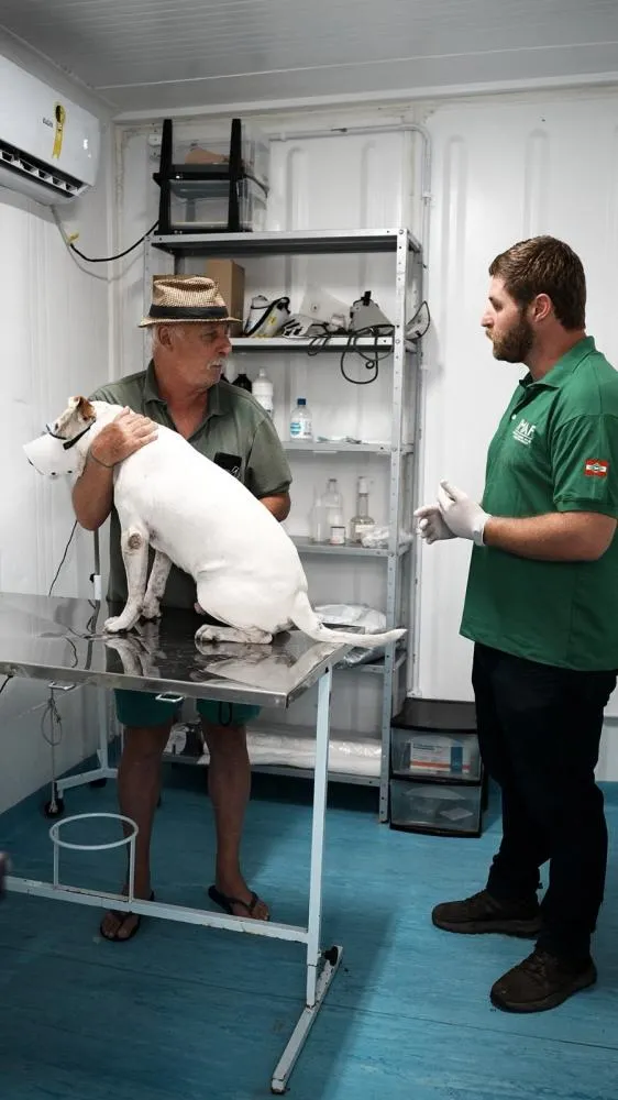 Penha disponibiliza atendimentos veterinários gratuitos para cães e gatos
