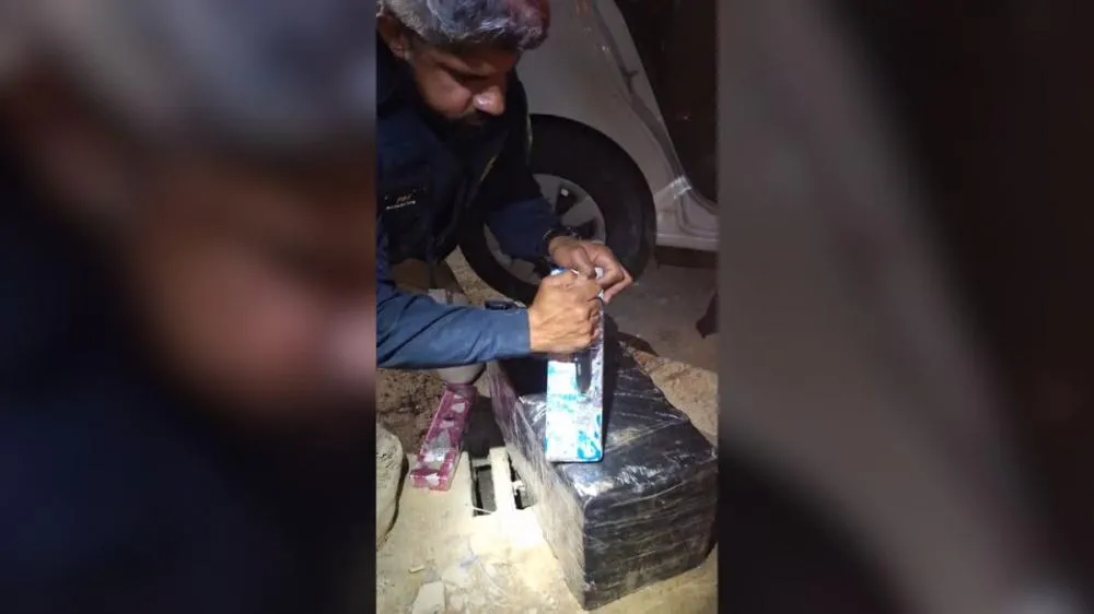 Pitbull morde traficante em fuga e ajuda PRF a apreender 209 kg de maconha