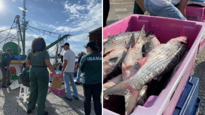 Ibama apreende barco com toneladas de tainha pescada ilegalmente