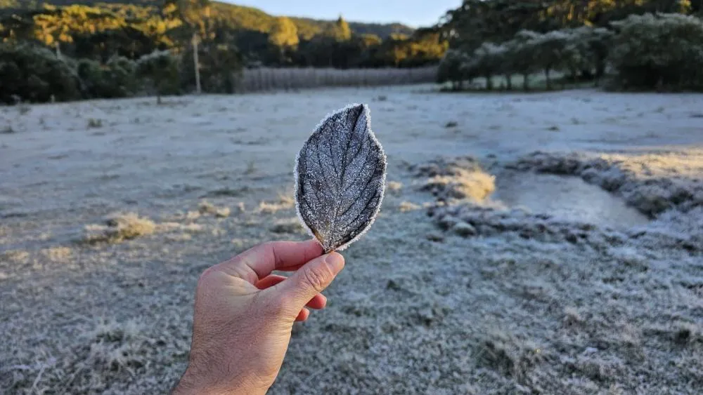 Mais de 100 estações com mínimas negativas e dia mais frio do ano no Litoral 